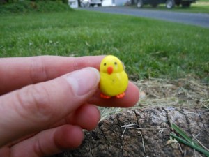 2014-05-20-allison-037[1] (1280x960)