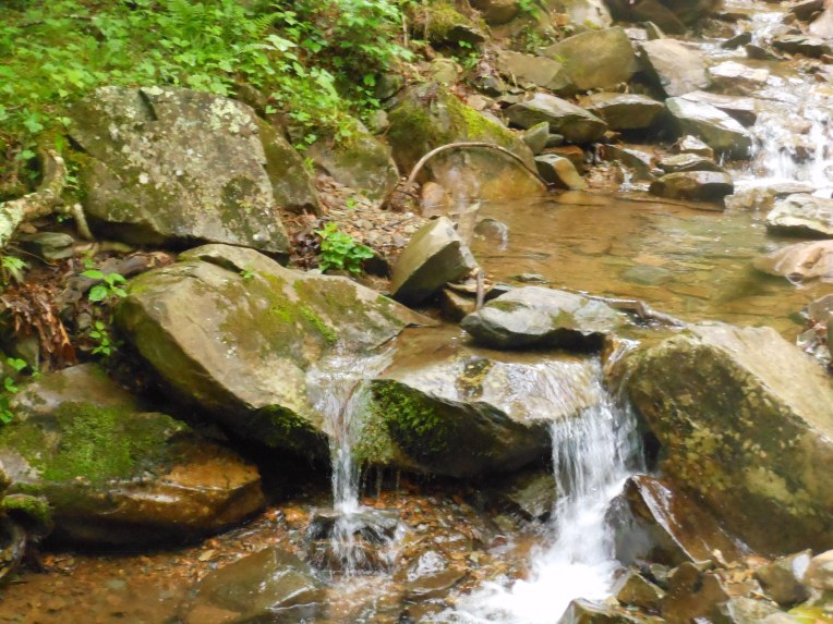 2014-06-03-Allison 014