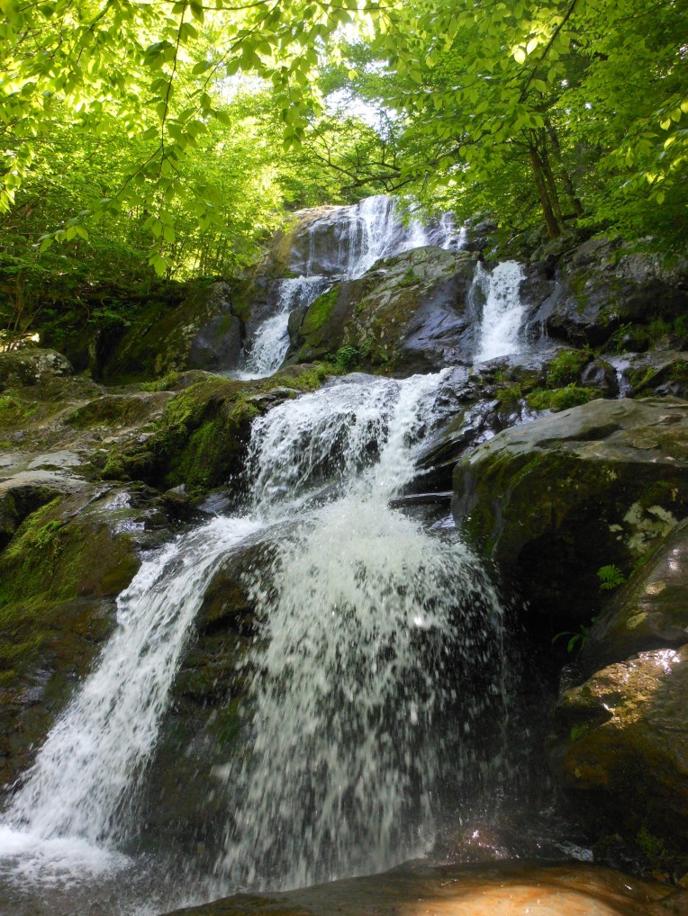 2014-06-03-Allison 076