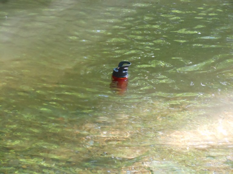 2014-06-03-Allison 118