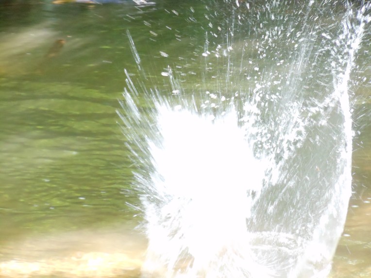 2014-06-03-Allison 120