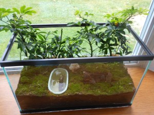 2014-06-06-Allison 012