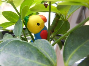 2014-06-06-Allison 017