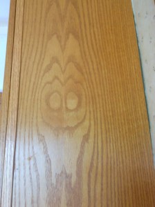 2014-6-24-Allison 008