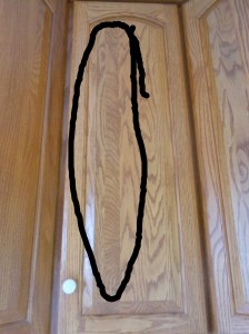 2014-6-24-Allison 015