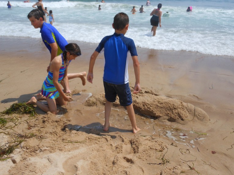 2014-7-14-Allison(rhode island) 024