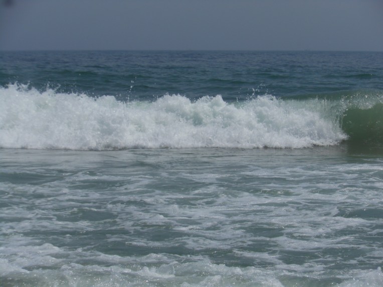 2014-7-14-Allison(rhode island) 026