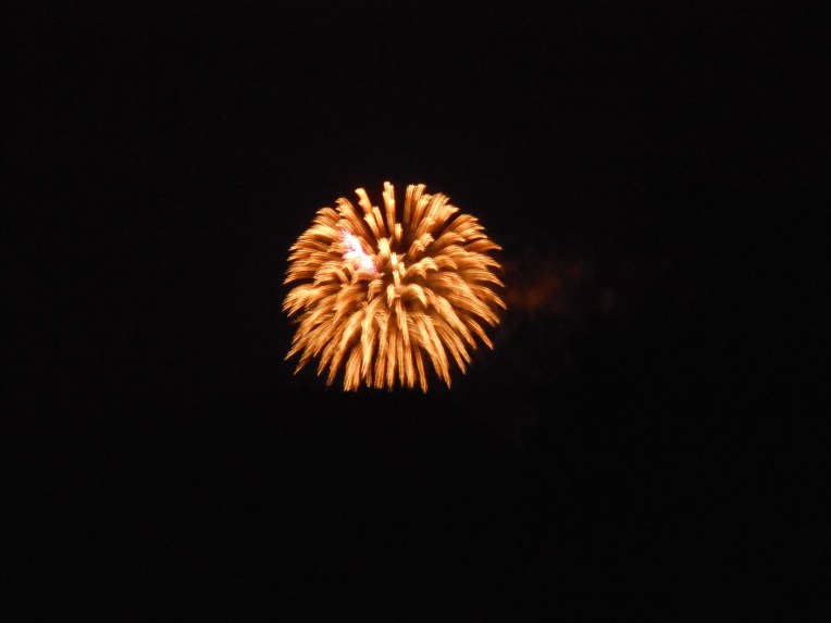 2014-7-5-Allison (Fireworks) 033