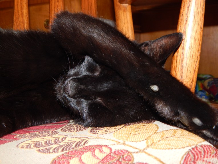 2014-7-22-Allison(new camera) 007