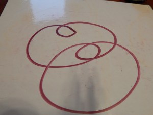 2014-8-23-Allison (moth) 017