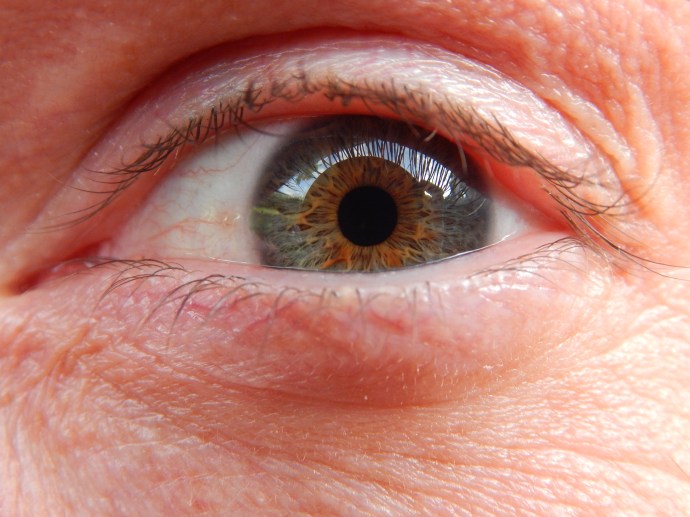 2014-8-4-Allison 041