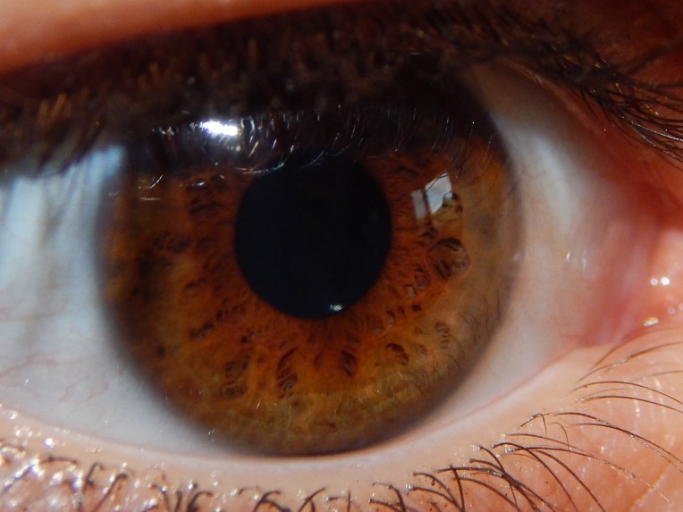2014-9-1-Allison(Eyes) 022