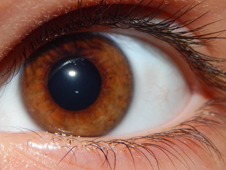 2014-9-1-Allison(Eyes) 032