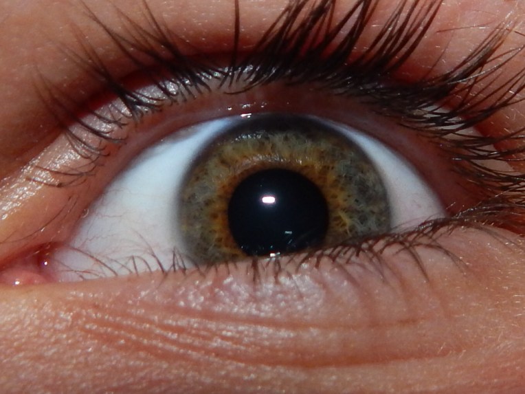 2014-9-1-Allison(Eyes) 045