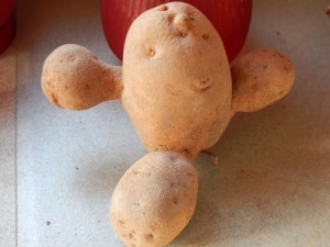 2014-9-8-Allison(Frog,Potatoes) 007