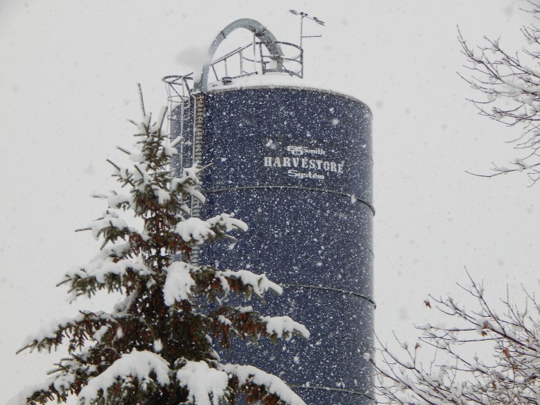 -Allison (Nov. snow, hidden pictures) 029