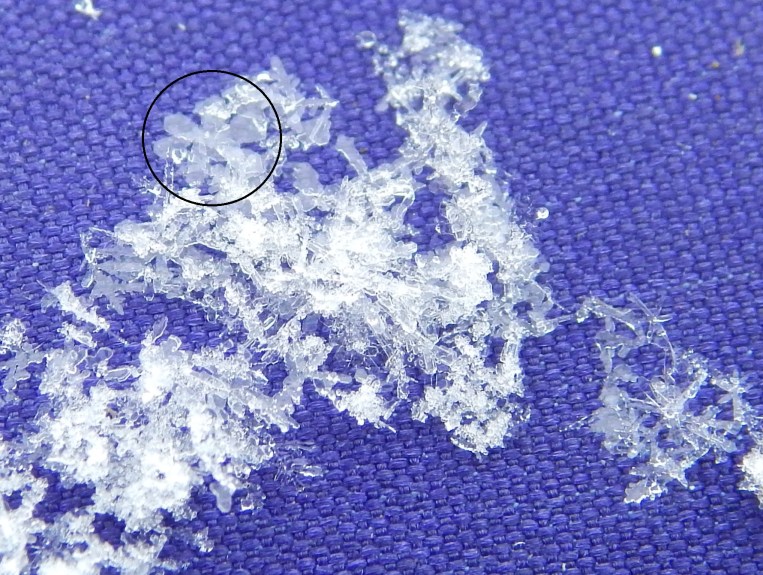 -Allison (Nov. snow, hidden pictures) 035 - Copy