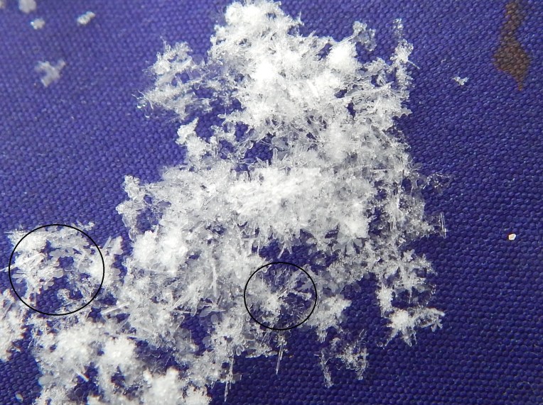 -Allison (Nov. snow, hidden pictures) 037 - Copy