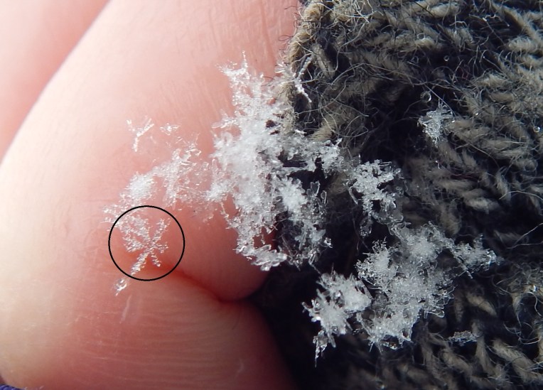 -Allison (Nov. snow, hidden pictures) 042 - Copy