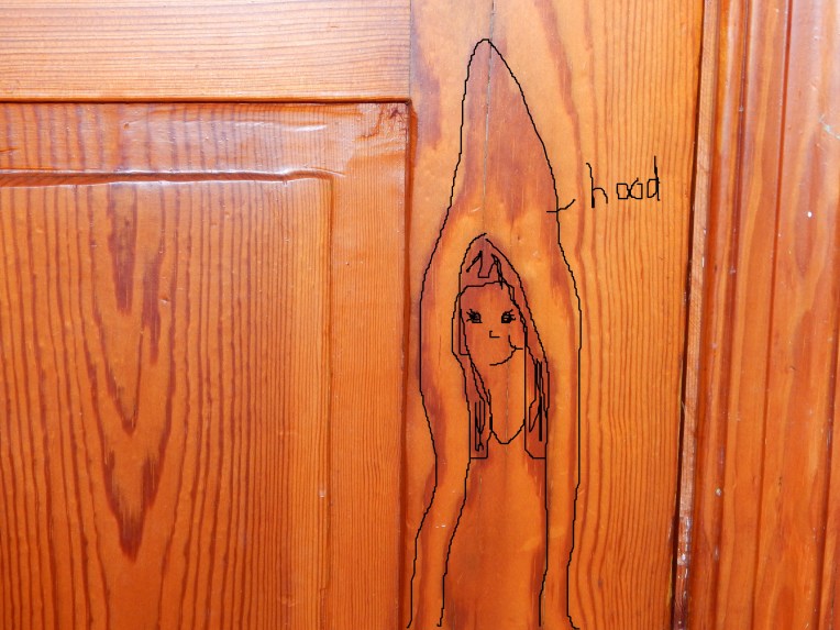 -Allison (Nov. snow, hidden pictures) 001 - Copy