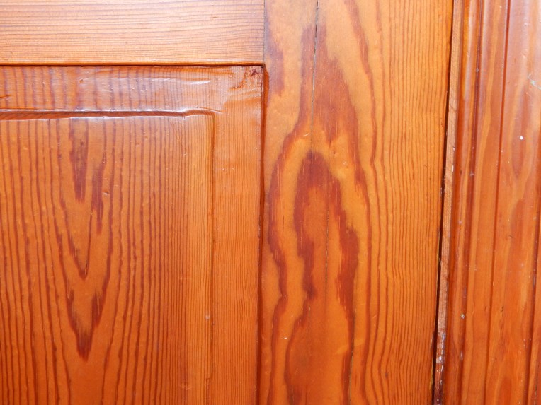 -Allison (Nov. snow, hidden pictures) 001