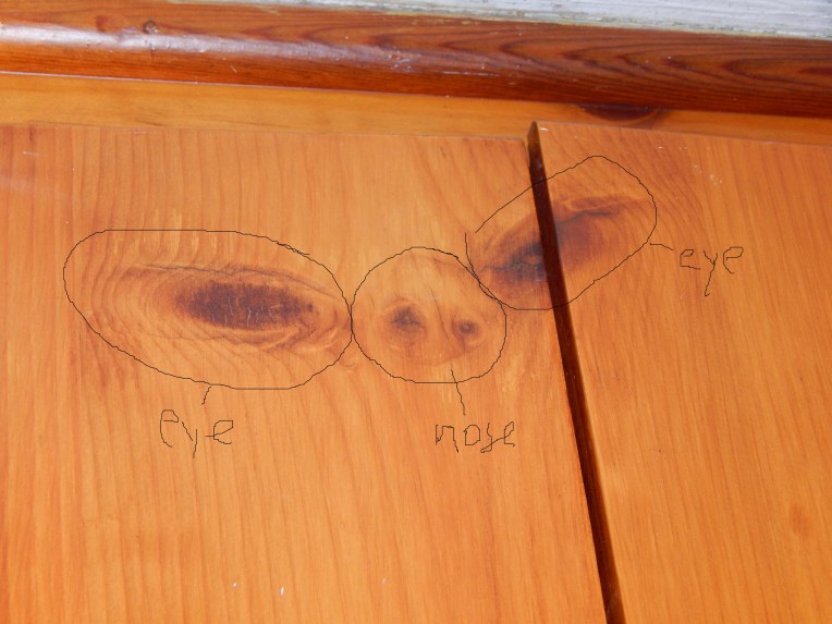 -Allison (Nov. snow, hidden pictures) 003 - Copy