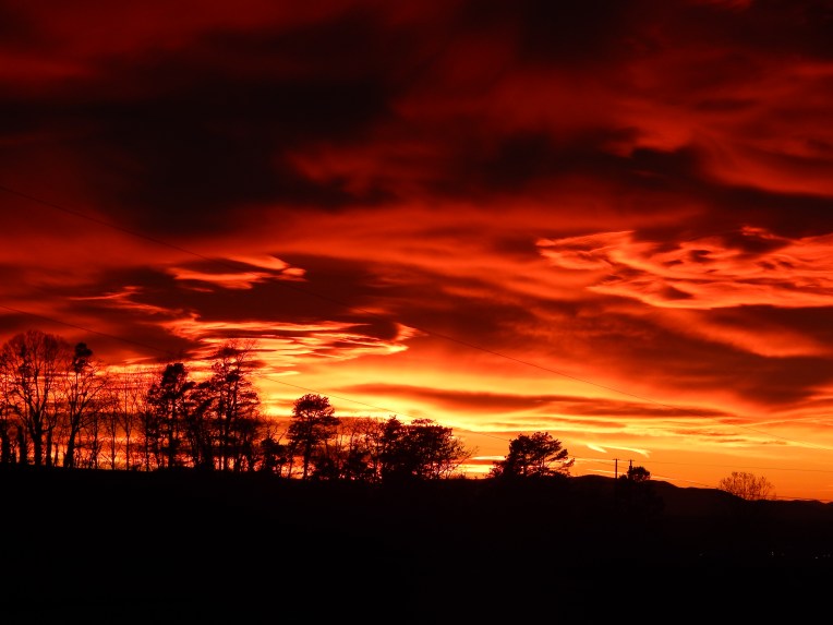 -Allison(sunset) 005