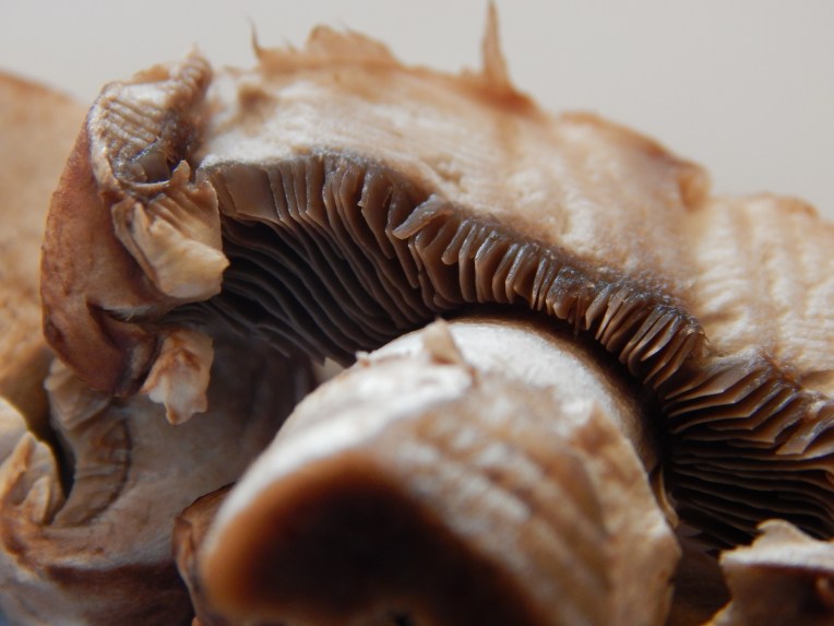 -Allison (mystery photos) 006