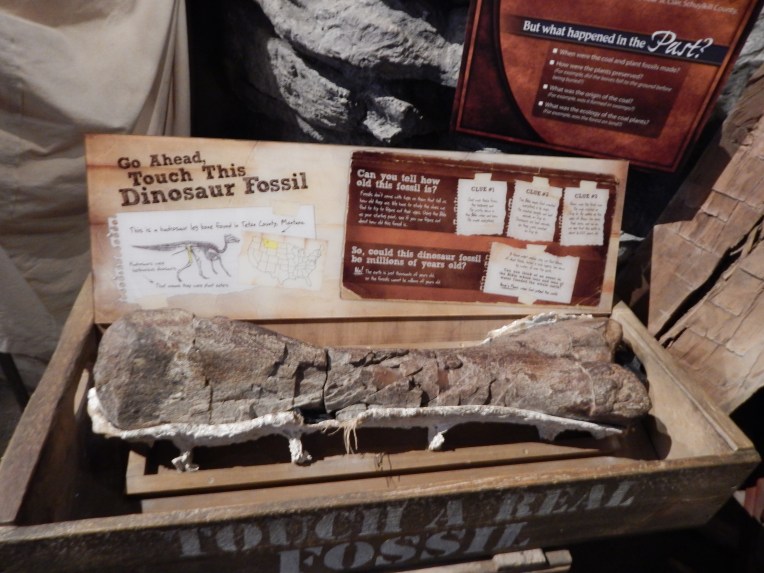 -Allison (Creation Museum) 030