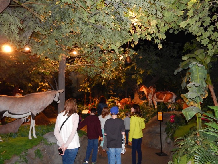 -Allison (Creation Museum) 031