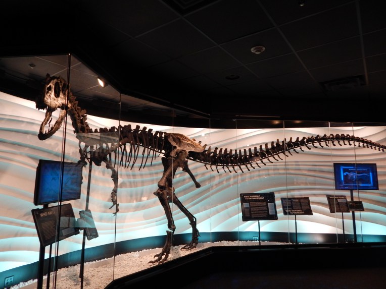 -Allison (Creation Museum) 047