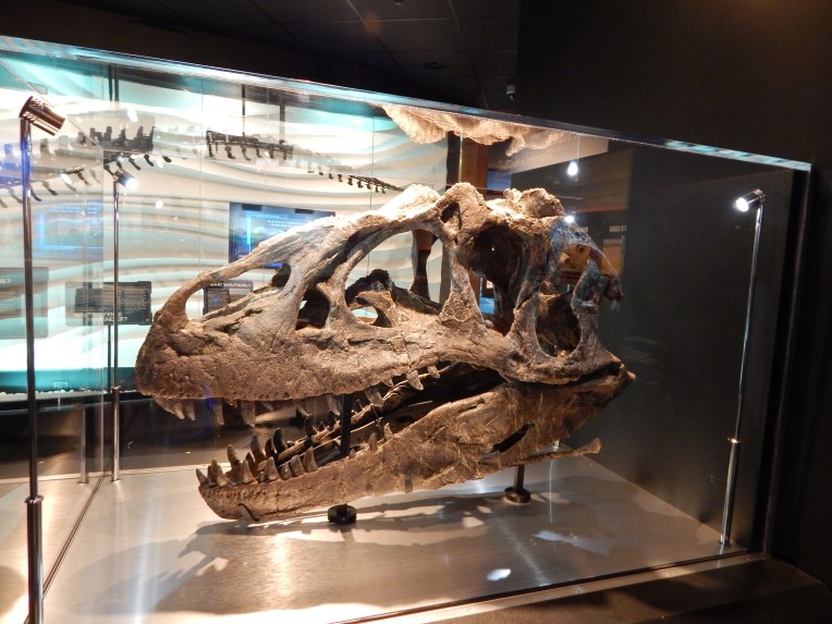 -Allison (Creation Museum) 048