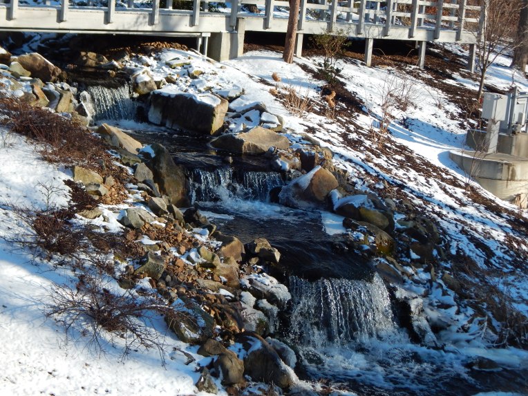 -Allison (Creation Museum) 148