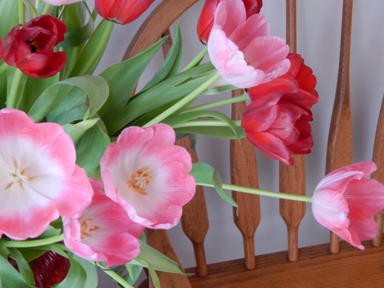 -Allison (headscarves, tulips) 023