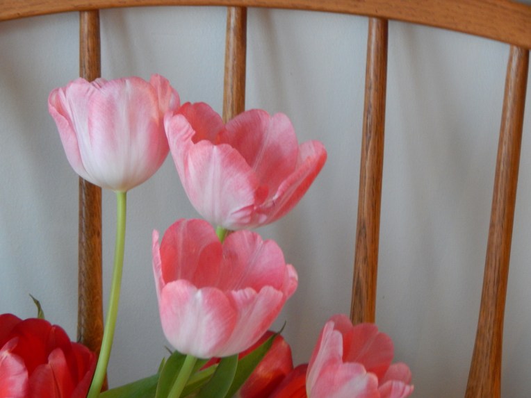 -Allison (headscarves, tulips) 029