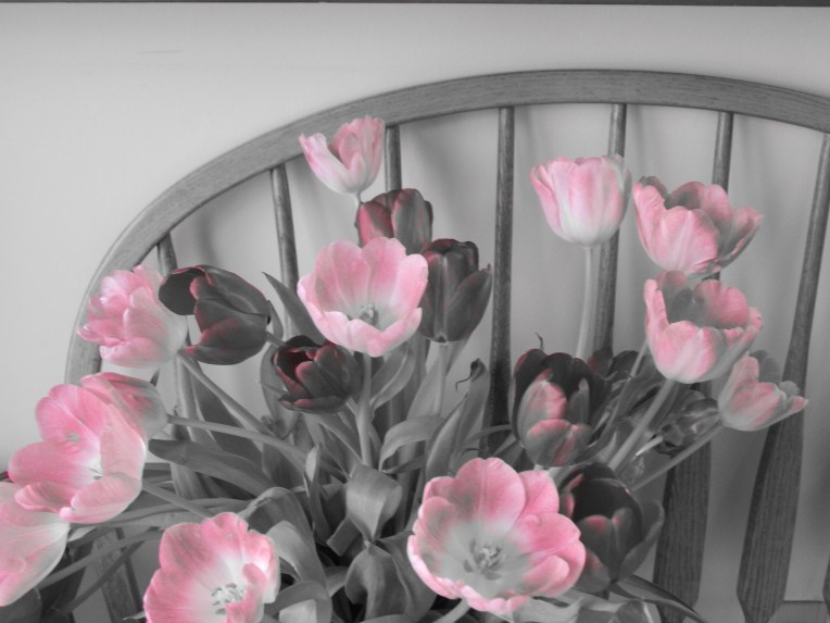 -Allison (headscarves, tulips) 031