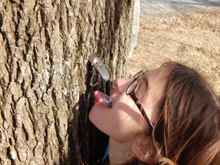 -Allison (maple syrup 006 (1280x960)