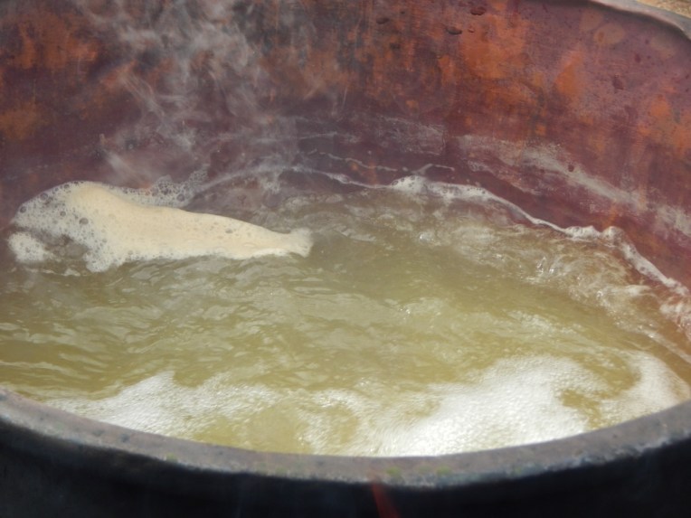 -Allison (maple syrup 020 (1280x960)