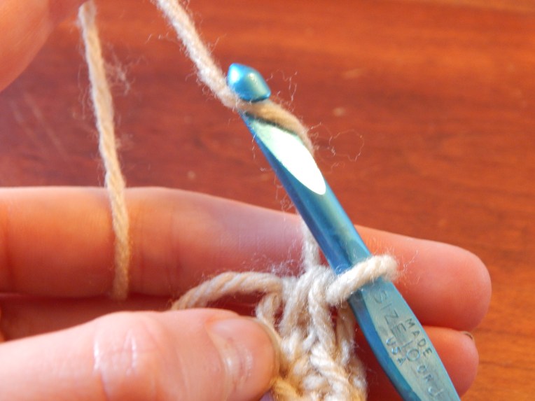 -Allison (crochet lesson 2) 051