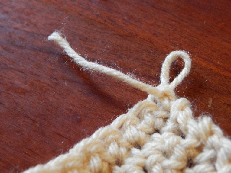 -Allison (crochet lesson 2) 058