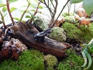 -Allison (bunnies, forest terrarium) 012