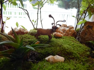 -Allison (bunnies, forest terrarium) 013