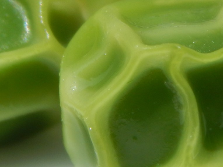 -Allison (close-ups) 008