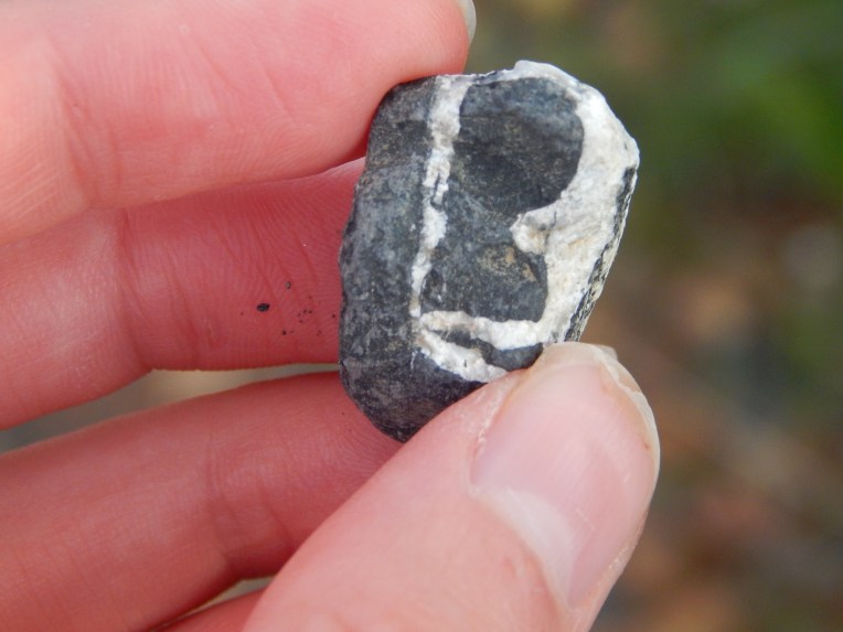 -Allison(fourth of July) 003