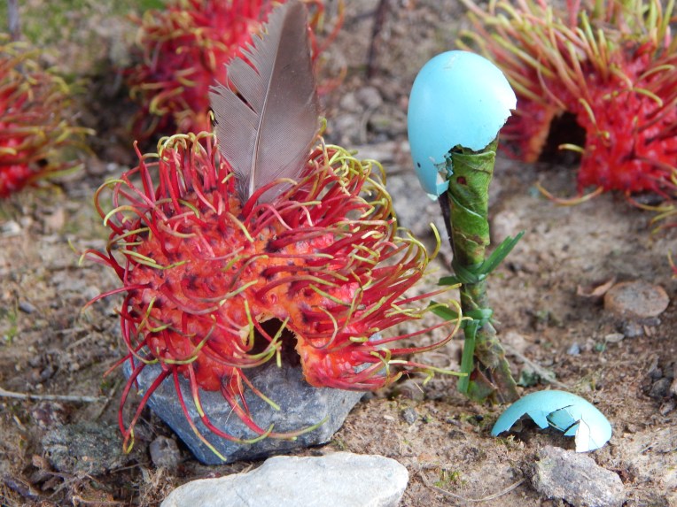 -Allison(fourth of July) 037