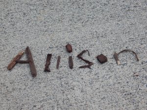 -Allison(fourth of July) 042