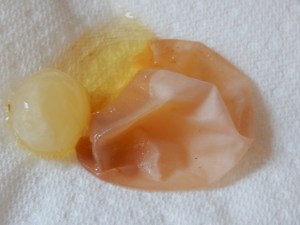 -Allison(Megan's B-day Party) 033