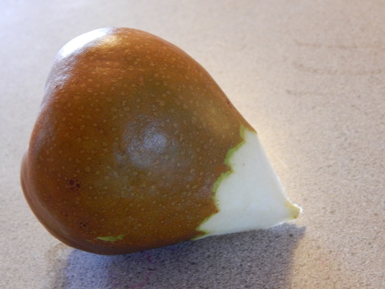 -Allison(Megan's B-day Party) 046