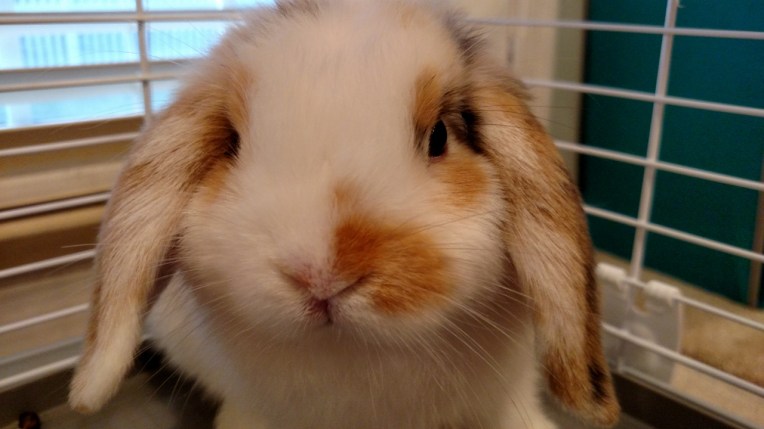 IMG_20150823_194858690 (1280x720)