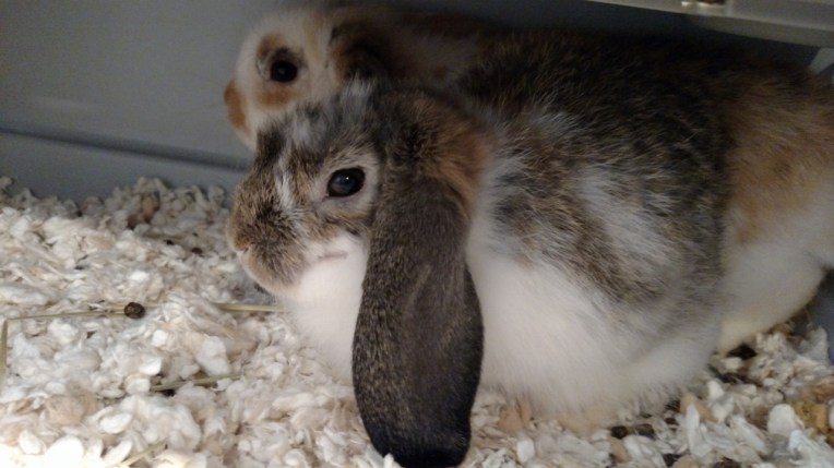 IMG_20150823_195140974 (1280x720)